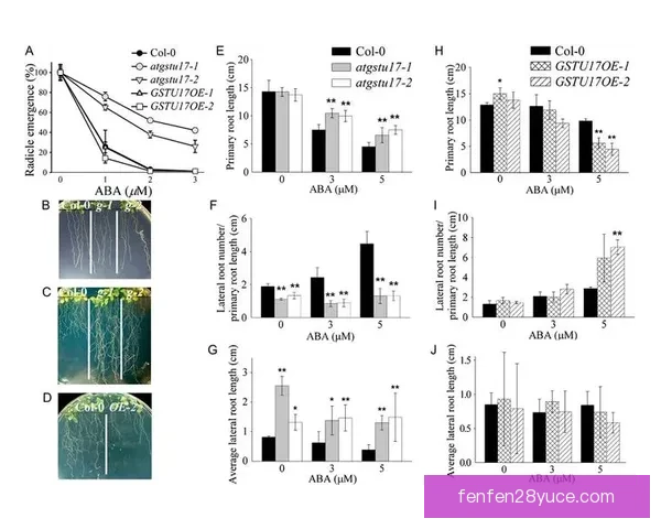 哈萨克斯坦U17惨败丹麦U17三球落后分析